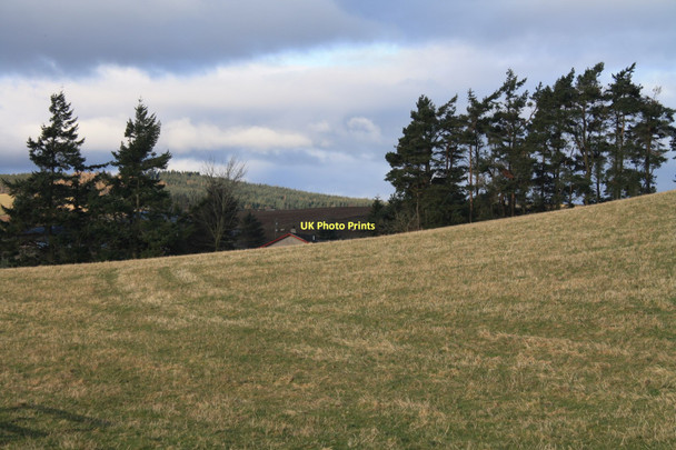Photo 6"x4" Near Auchintoul Comers c2011