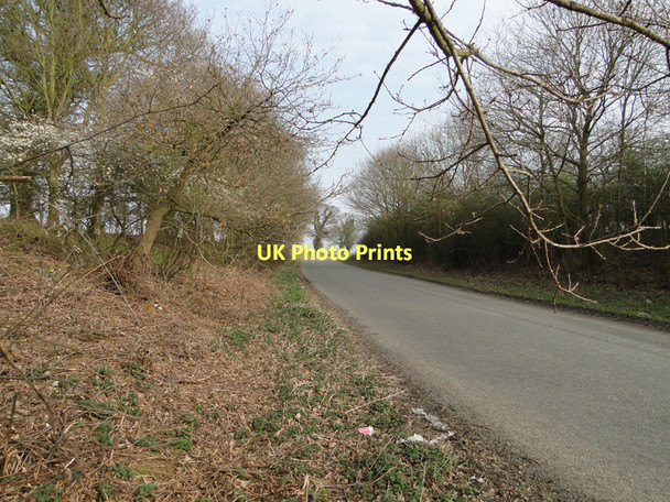 Photo 6"x4" Road to Banningham just off the A140 Aylsham c2011