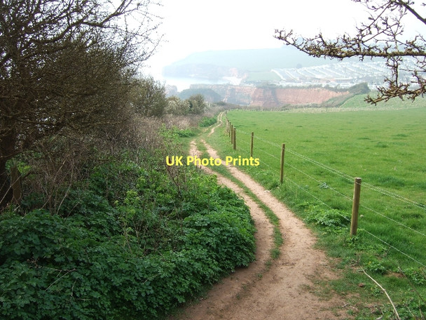 Photo 6"x4" South West Coast Path and Ladram Bay Sidmouth c2011