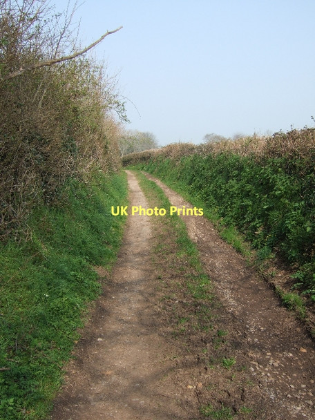 Photo 6"x4" Piscombe Lane North Star c2011