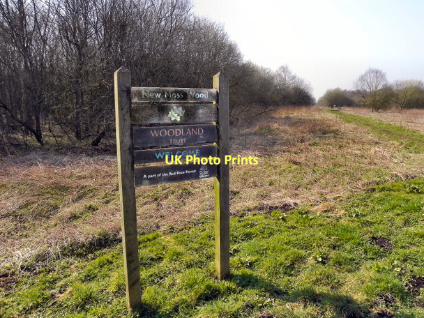 Photo 6"x4" New Moss Wood Irlam c2011