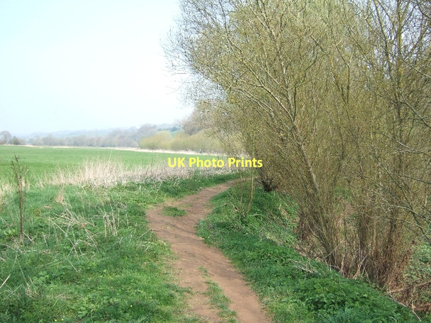 Photo 6"x4" Footpath beside the River Otter North Star c2011