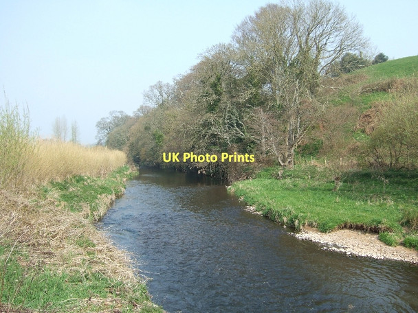 Photo 6"x4" River Otter North Star c2011