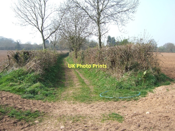 Photo 6"x4" Farm track and footpath north of Colaton Raleigh Colaton Raleigh c2011