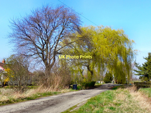 Photo 6"x4" Moss Road Glazebrook c2011
