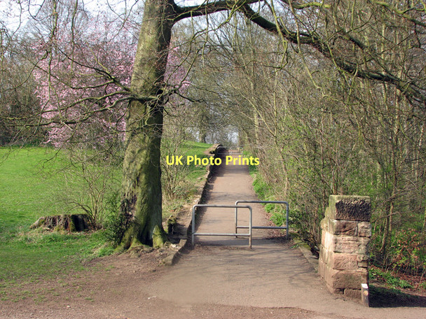 Photo 6"x4" Darley Grove Derby\/SK3535 c2011
