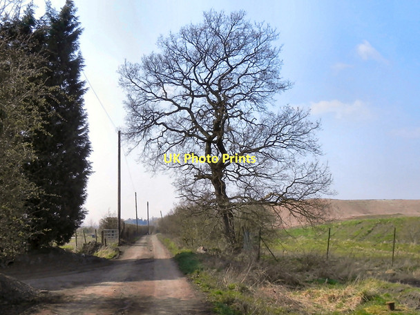 Photo 6"x4" Prospect Lane, Moss Side Gorse Covert\/SJ6692 c2011