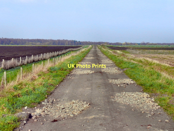 Photo 6"x4" Holly Bush Lane, Rixton Moss Gorse Covert\/SJ6692 c2011