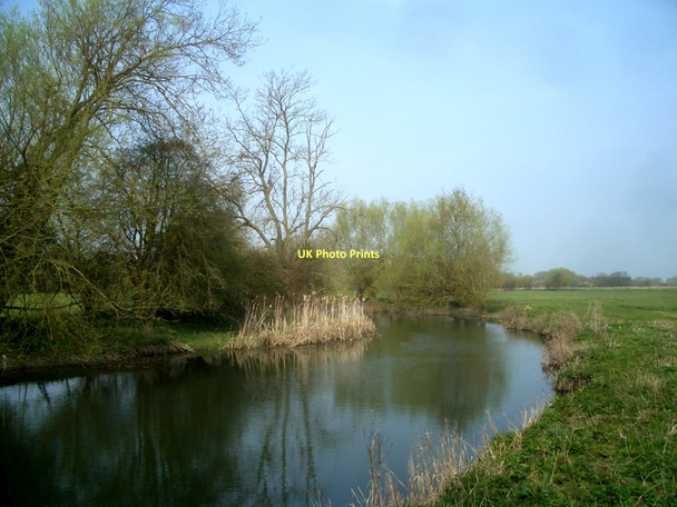 Photo 6"x4" River Thame u\/s of Warborough Dorchester\/SU5794 c2011