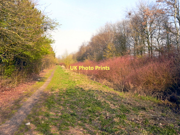 Photo 6"x4" Path Alongside Birchwood Brook Grange\/SJ6490 c2011