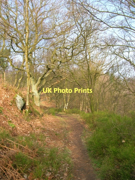 Photo 6"x4" Footpath, Stanton Moor Stanton Lees c2011