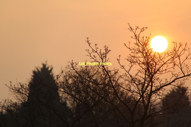 Photo 6"x4" Sunset, London N14 Southgate\/TQ3094 c2011