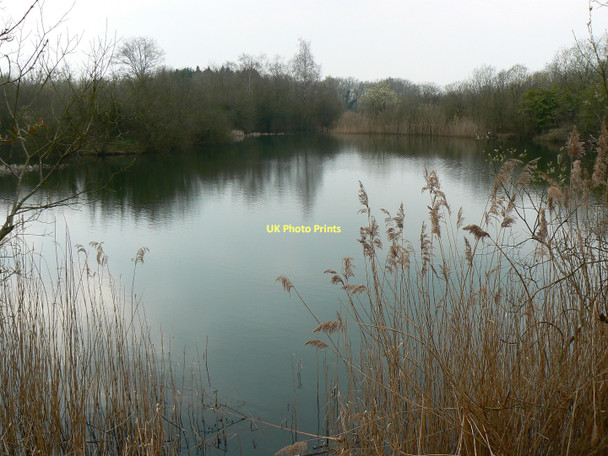 Photo 6"x4" Lake near the road to Poole Keynes Somerford Keynes c2011