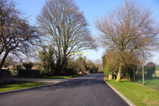 Photo 6"x4" The road to Jackaments Bottom Chelworth c2011