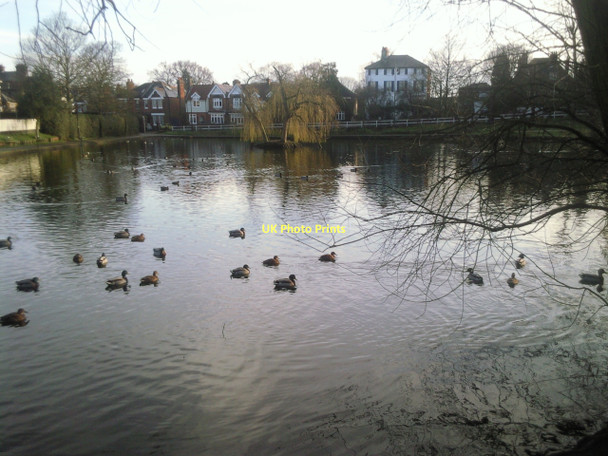Photo 6"x4" Prickend Pond, Chislehurst Chislehurst c2011