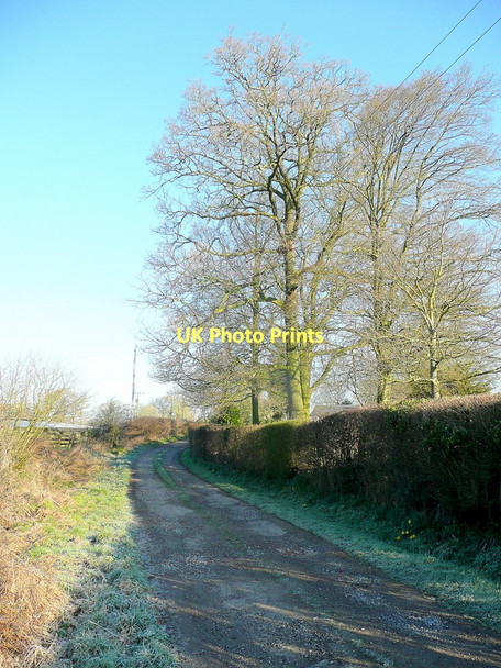 Photo 6"x4" Farm track and footpath Taynton\/SO7321 c2011