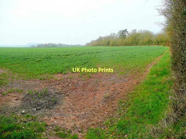 Photo 6"x4" Arable land near Forthampton Cold Elm c2011