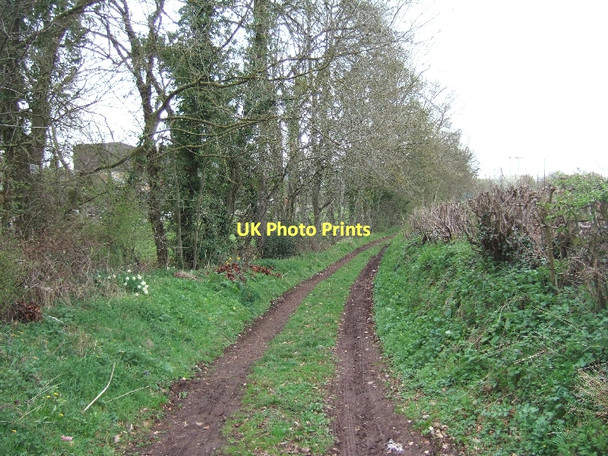 Photo 6"x4" Lane by River Yeo at Fordton Crediton c2011
