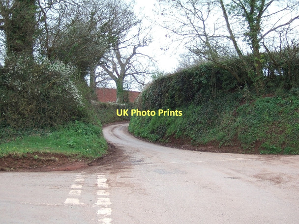 Photo 6"x4" Country road south of Fordton Cross Crediton c2011