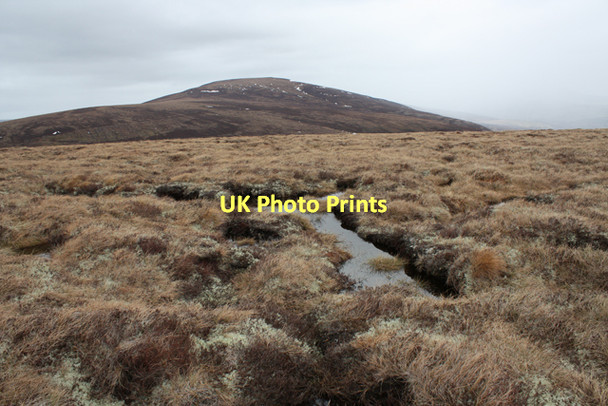 Photo 6"x4" Bog pool east of An Sgoran Hills of Cromdale c2011