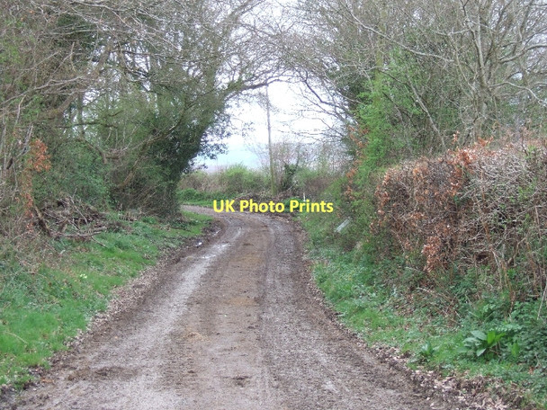 Photo 6"x4" Track from Oldridge to Venny Tedburn Venny Tedburn c2011