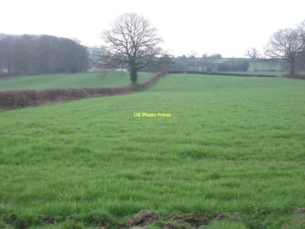 Photo 6"x4" Farmland near Wingerworth Nether Moor\/SK3866 c2011