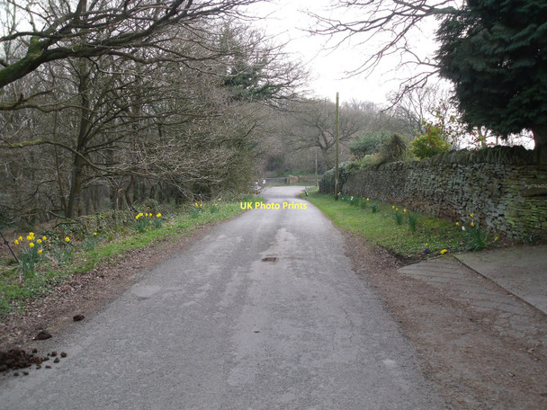 Photo 6"x4" Bolehill Lane Northedge c2011