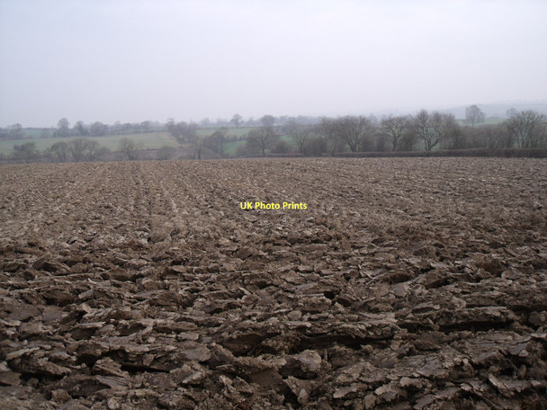 Photo 6"x4" Farmland near Meadow Farm Stonebroom c2011