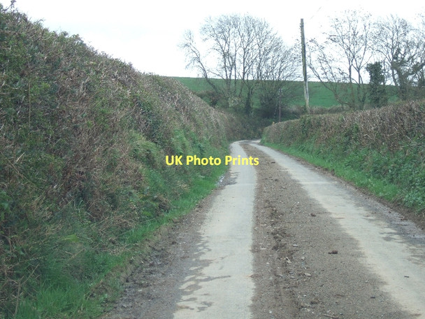 Photo 6"x4" Road to the east of Cleave Cottage Heath Cross\/SX8494 c2011