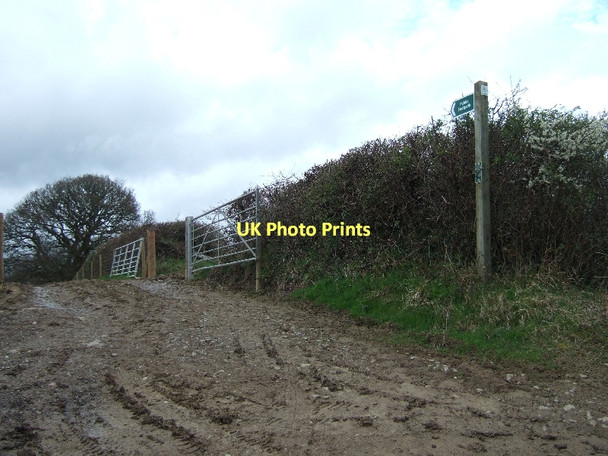 Photo 6"x4" Footpath through mud Heath Cross\/SX8494 c2011