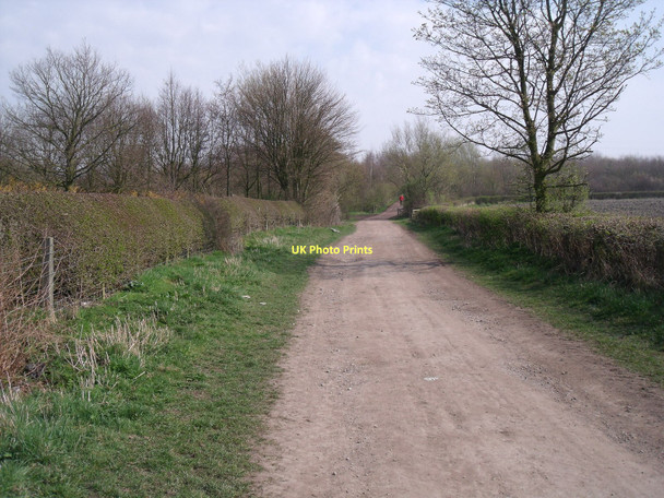 Photo 6"x4" Trail on former railway Grassmoor c2011