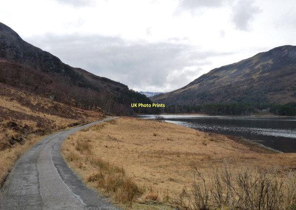 Photo 6"x4" Road to Coulin Estate Coulin Lodge c2011