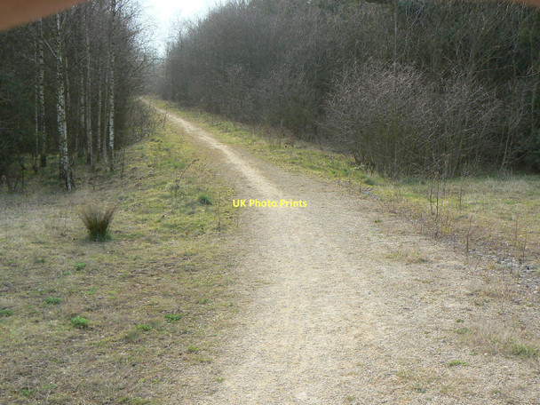 Photo 6"x4" Path on the tip Market Warsop c2011