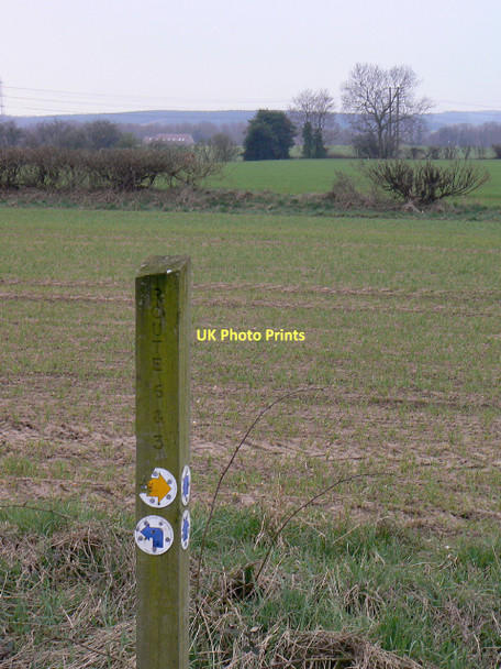 Photo 6"x4" Junction waymark Market Warsop c2011