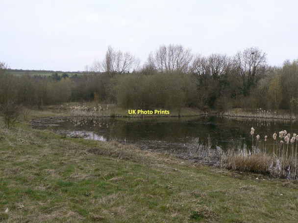 Photo 6"x4" Pond alongside Carter Lane Market Warsop c2011