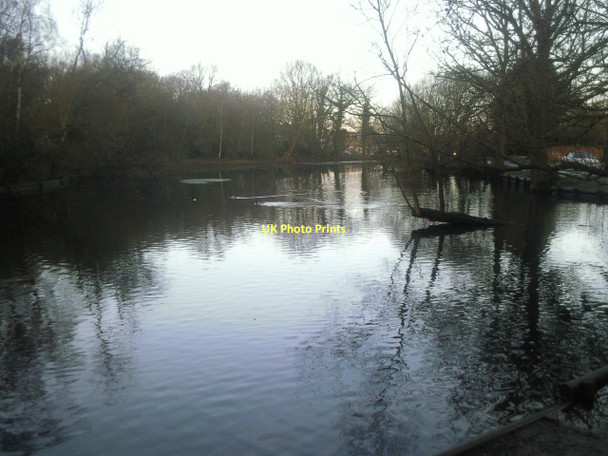 Photo 6"x4" Rush Pond, Chislehurst Common at dawn Chislehurst c2011