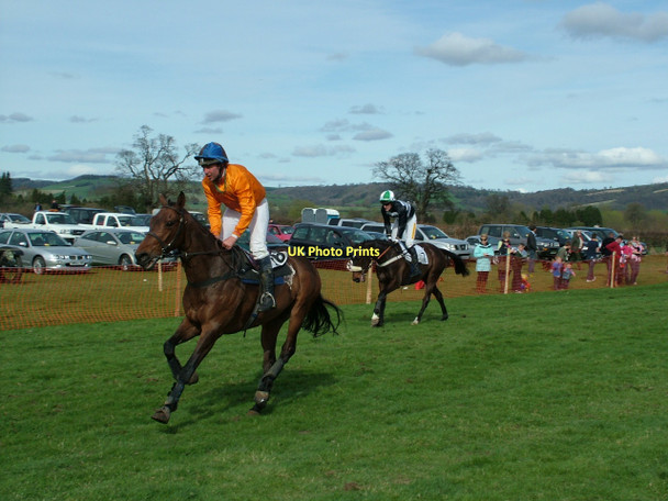 Photo 6"x4" Brampton Bryan Point to Point 2011 Brampton Bryan c2011