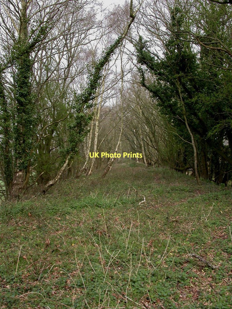 Photo 6"x4" North Kingston, railway trackbed North Kingston c2011
