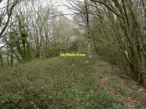 Photo 6"x4" North Kingston, dismantled railway North Kingston c2011