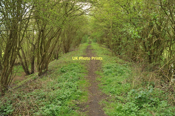 Photo 6"x4" Course of the former Bidford to Stratford railway Barton\/SP1051 c2011