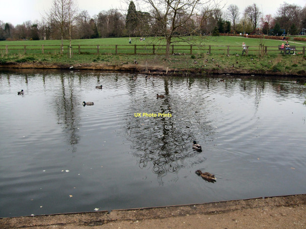 Photo 6"x4" Horsham Park Pond Horsham\/TQ1731 c2011