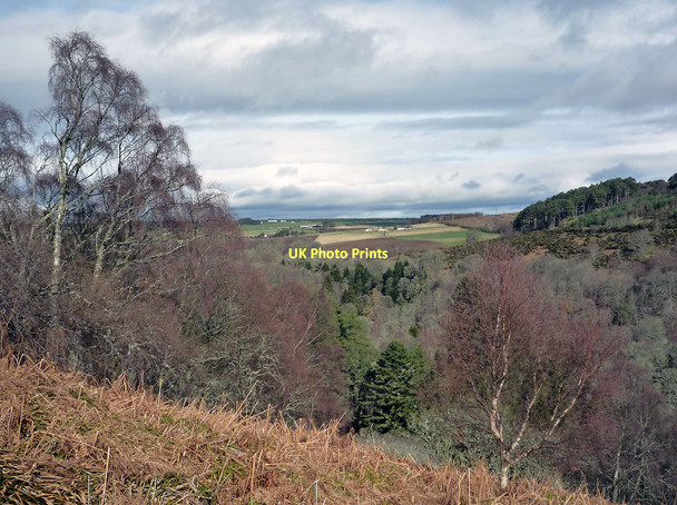 Photo 6"x4" Outlook over Fairy Glen Fortrose c2011