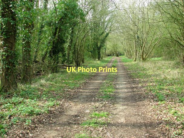 Photo 6"x4" USAAF Communal Site A, Upper Billingford Upper Street\/TM1780 c2011