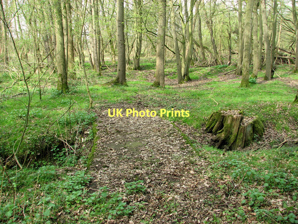 Photo 6"x4" USAAF Technical Site, Upper Billingford Upper Street\/TM1780 c2011