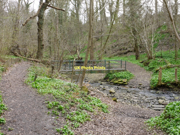 Photo 6"x4" Footbridge, Walbottle Dene Ryton\/NZ1564 c2011