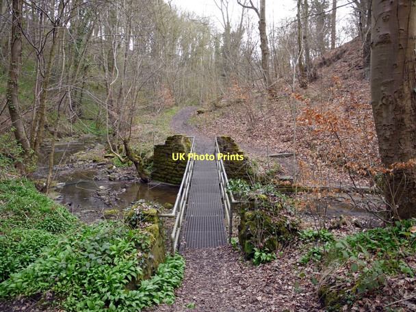 Photo 6"x4" Footbridge, Walbottle Dene Ryton\/NZ1564 c2011