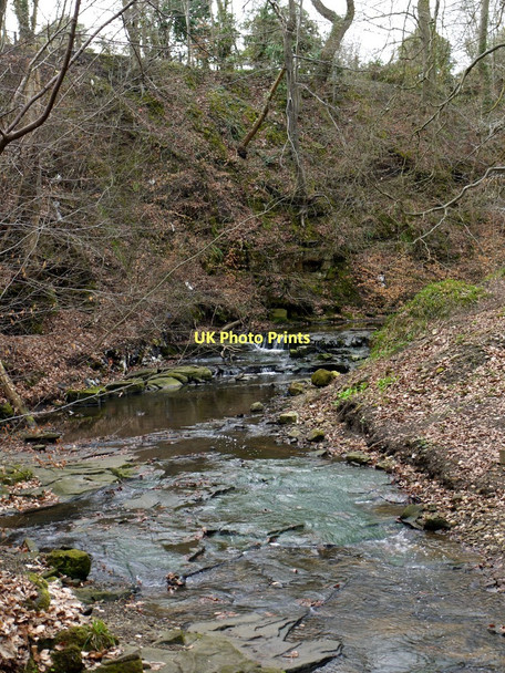 Photo 6"x4" Walbottle Dene Ryton\/NZ1564 c2011