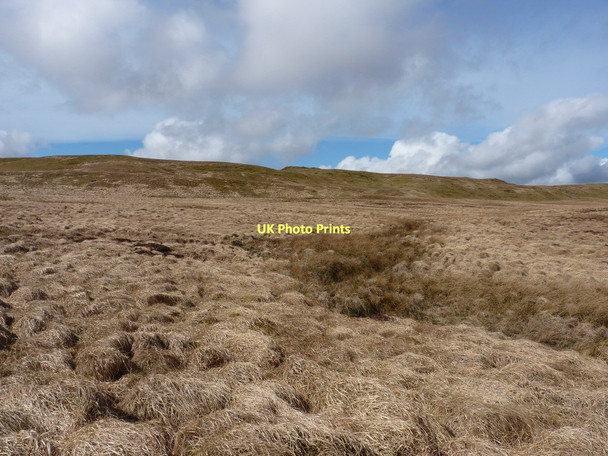 Photo 6"x4" Rhos Fign bog Rhos Fign c2011