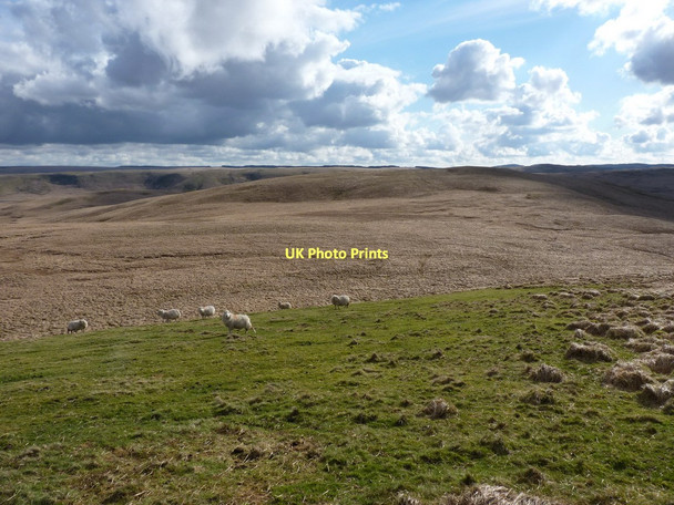 Photo 6"x4" Llethr Hir from Bryn Hir Ddwynant c2011
