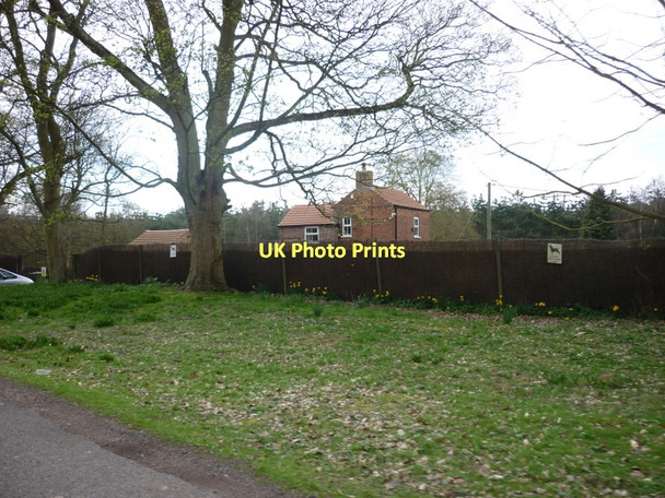 Photo 6"x4" Pin Hill on East Ferry Road near Laughton East Ferry c2011